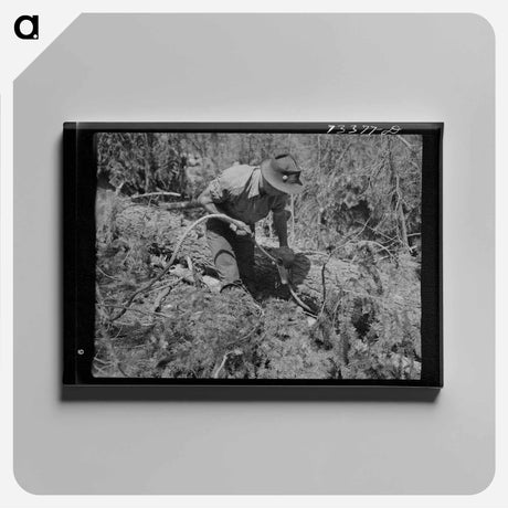 アートパネル-Lumberjack and Log
 - ラッセル リー Canvas.