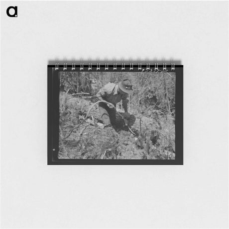 アートメモ帳-Lumberjack and Log
 - ラッセル リー Memo.