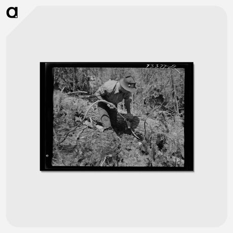 アートポストカード-Lumberjack and Log
 - ラッセル リー Postcard.