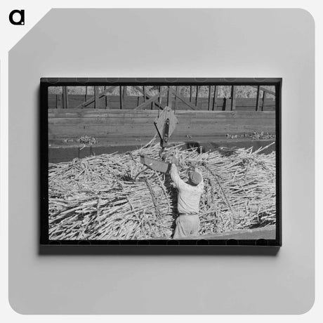 アートパネル-Sugarcane Crane
 - ラッセル リー Canvas.