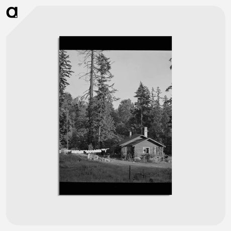 アートポストカード-Oakridge, Oregon
 - ラッセル リー Postcard.