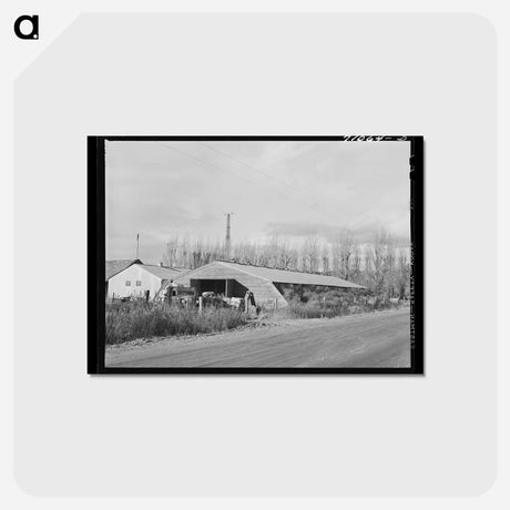 アートポストカード-Klamath County Potato Cellar
 - ラッセル リー Postcard.
