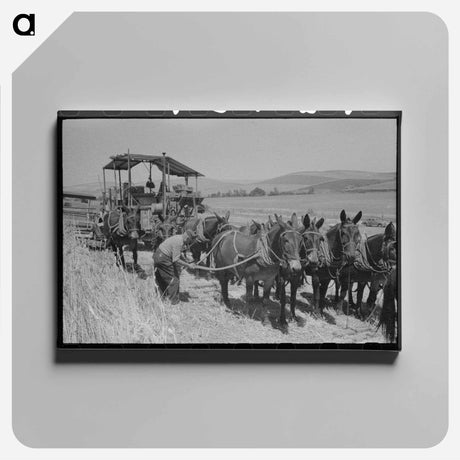 アートパネル-Wheat Field Noon
 - ラッセル リー Canvas.