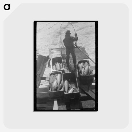 アートポストカード-Indians Fishing for Salmon, Celilo Falls, Oregon
 - ラッセル リー Postcard.