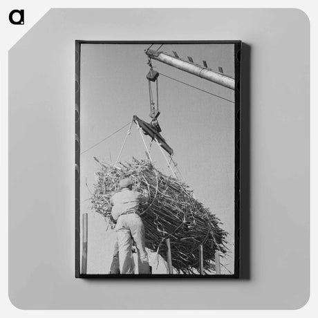 アートパネル-Sugar Mill Cane
 - ラッセル リー Canvas.