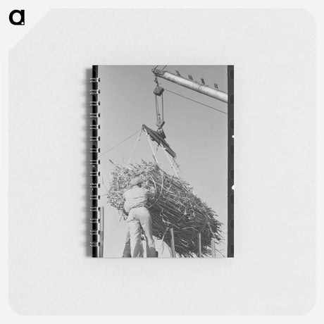 アートメモ帳-Sugar Mill Cane
 - ラッセル リー Memo.