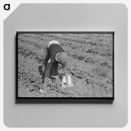 アートパネル-Berry Pickers of Hammond
 - ラッセル リー Canvas.
