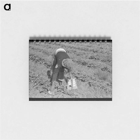 アートメモ帳-Berry Pickers of Hammond
 - ラッセル リー Memo.