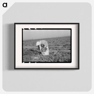 Mexican Girl, Carrot Worker
 - ラッセル リー Poster.