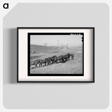 Workhorses, Whitman County
 - ラッセル リー Poster.