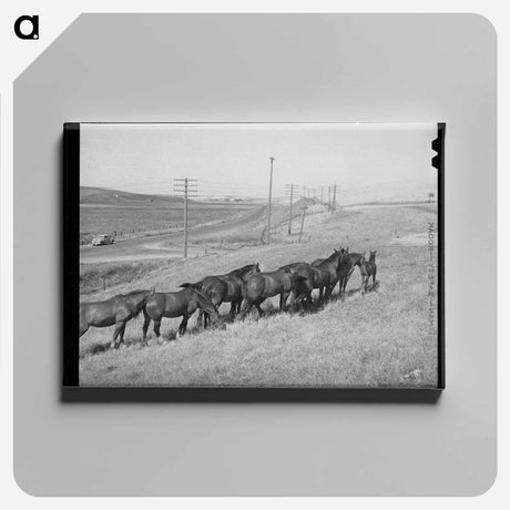 アートパネル-Workhorses, Whitman County
 - ラッセル リー Canvas.