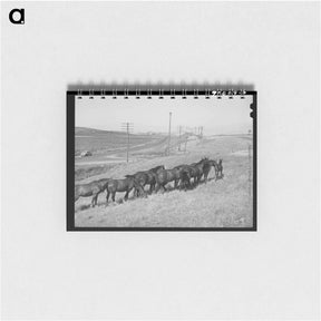 アートメモ帳-Workhorses, Whitman County
 - ラッセル リー Memo.