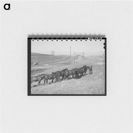 アートメモ帳-Workhorses, Whitman County
 - ラッセル リー Memo.