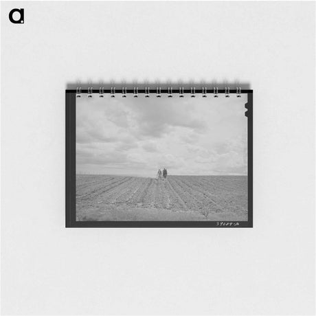 アートメモ帳-Harrowing the Field
 - ラッセル リー Memo.