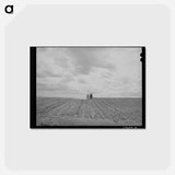 アートポストカード-Harrowing the Field
 - ラッセル リー Postcard.