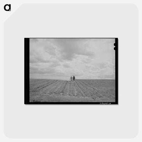 アートポストカード-Harrowing the Field
 - ラッセル リー Postcard.