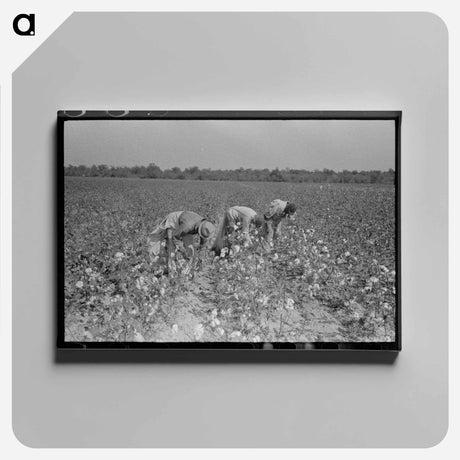アートパネル-Picking Cotton, Lake Dick Project
 - ラッセル リー Canvas.