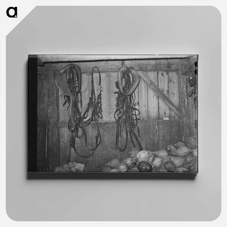 アートパネル-Barn Interior with Harness and Squashes
 - ラッセル リー Canvas.