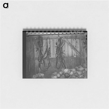 アートメモ帳-Barn Interior with Harness and Squashes
 - ラッセル リー Memo.