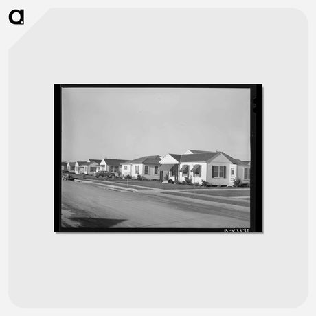 アートポストカード-Alameda Houses
 - ラッセル リー Postcard.