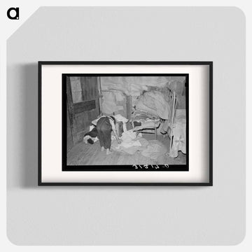 Southeast Missouri Farms
 - ラッセル リー Poster.