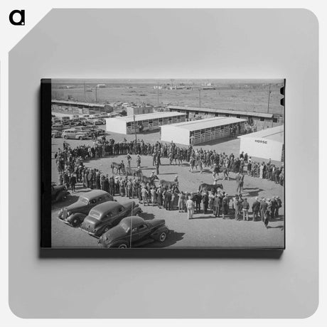 アートパネル-San Angelo Stock Show
 - ラッセル リー Canvas.