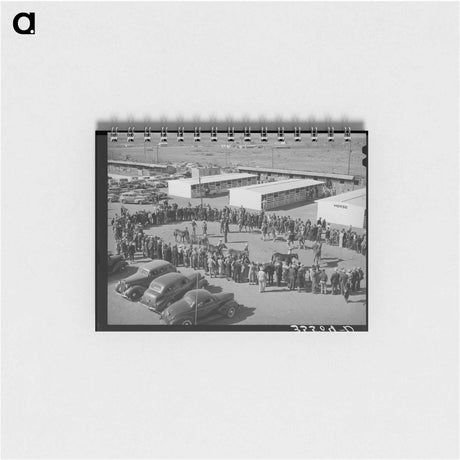 アートメモ帳-San Angelo Stock Show
 - ラッセル リー Memo.