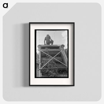 Hop Picker Detail
 - ラッセル リー Poster.