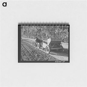 アートメモ帳-Guayule Planter
 - ラッセル リー Memo.