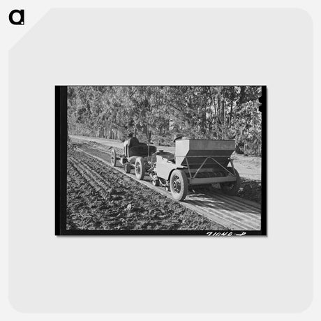 アートポストカード-Guayule Planter
 - ラッセル リー Postcard.