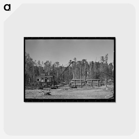 アートポストカード-Timber Camp at Effie
 - ラッセル リー Postcard.