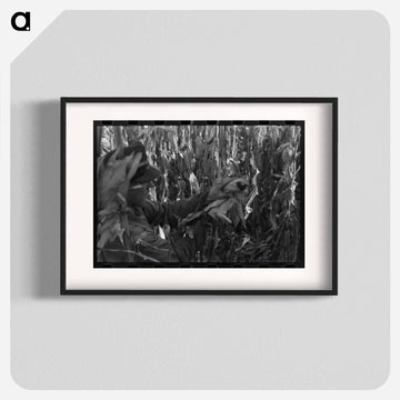 Husking Corn
 - ラッセル リー Poster.