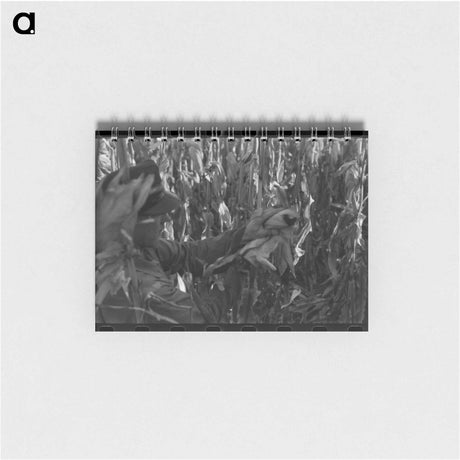 アートメモ帳-Husking Corn
 - ラッセル リー Memo.