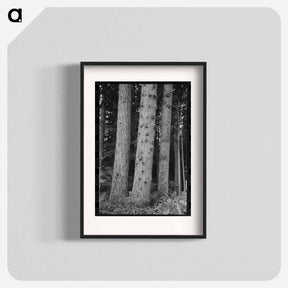 アートポスター-Trees on Long Bell Lumber Holdings
 - ラッセル リー Poster.