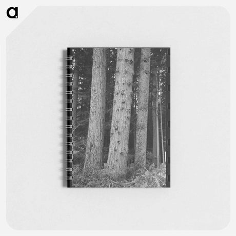 アートメモ帳-Trees on Long Bell Lumber Holdings
 - ラッセル リー Memo.