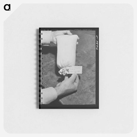 アートメモ帳-Guayule Seed Propagation
 - ラッセル リー Memo.