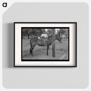 Saddle Horses, San Augustine, Texas
 - ラッセル リー Poster.