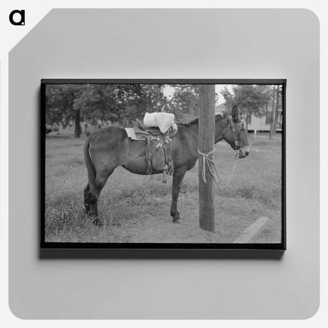 アートパネル-Saddle Horses, San Augustine, Texas
 - ラッセル リー Canvas.