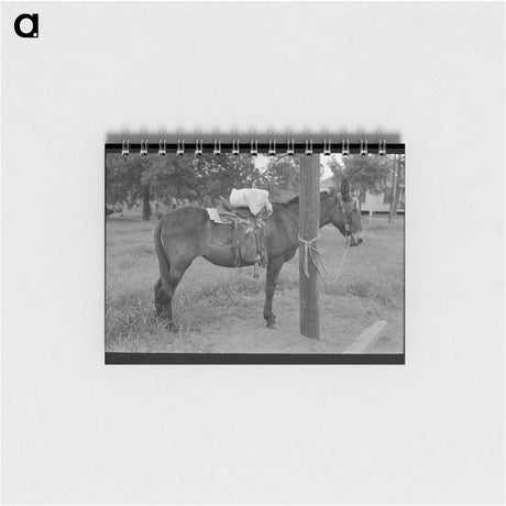 アートメモ帳-Saddle Horses, San Augustine, Texas
 - ラッセル リー Memo.