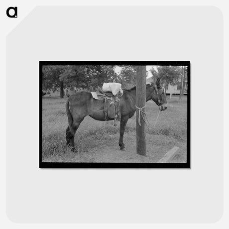 アートポストカード-Saddle Horses, San Augustine, Texas
 - ラッセル リー Postcard.