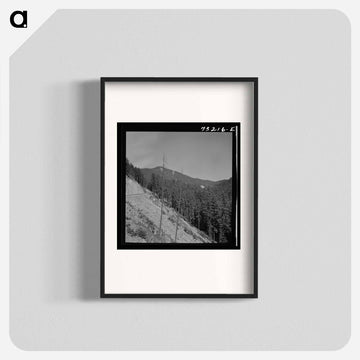 Willamette National Forest
 - ラッセル リー Poster.