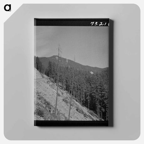 アートパネル-Willamette National Forest
 - ラッセル リー Canvas.