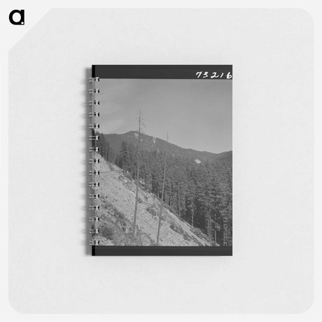 アートメモ帳-Willamette National Forest
 - ラッセル リー Memo.