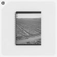 アートメモ帳-Celery Field and Irrigation Ditch
 - ラッセル リー Memo.