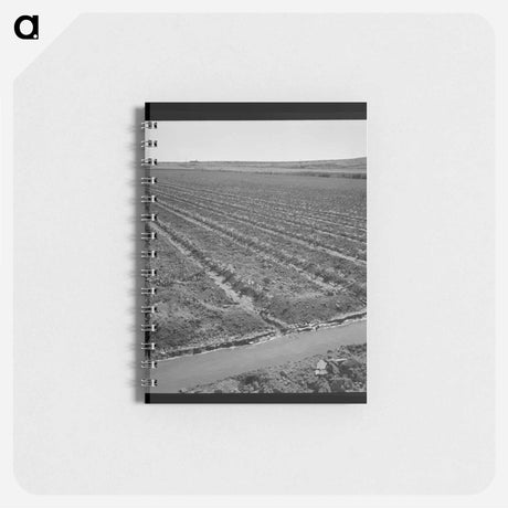 アートメモ帳-Celery Field and Irrigation Ditch
 - ラッセル リー Memo.