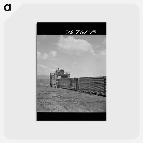 アートポストカード-Guayule Nursery
 - ラッセル リー Postcard.
