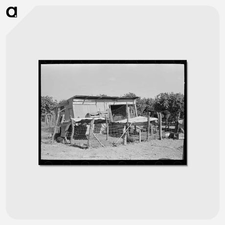 アートポストカード-Hidalgo County Farm
 - ラッセル リー Postcard.