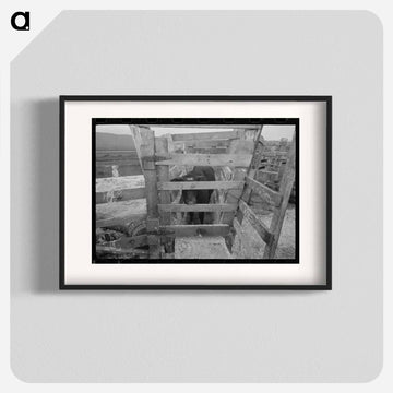 Cattle Testing, Cruzen Ranch
 - ラッセル リー Poster.