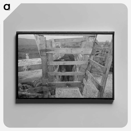 アートパネル-Cattle Testing, Cruzen Ranch
 - ラッセル リー Canvas.