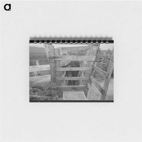 アートメモ帳-Cattle Testing, Cruzen Ranch
 - ラッセル リー Memo.